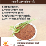 crafto_1735010397245