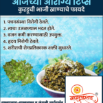 crafto_1735525585048