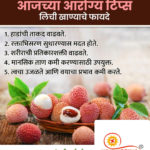 crafto_1735697628294