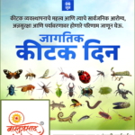 crafto_1749181471871