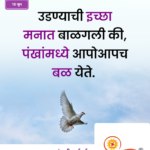 crafto_1750214699854